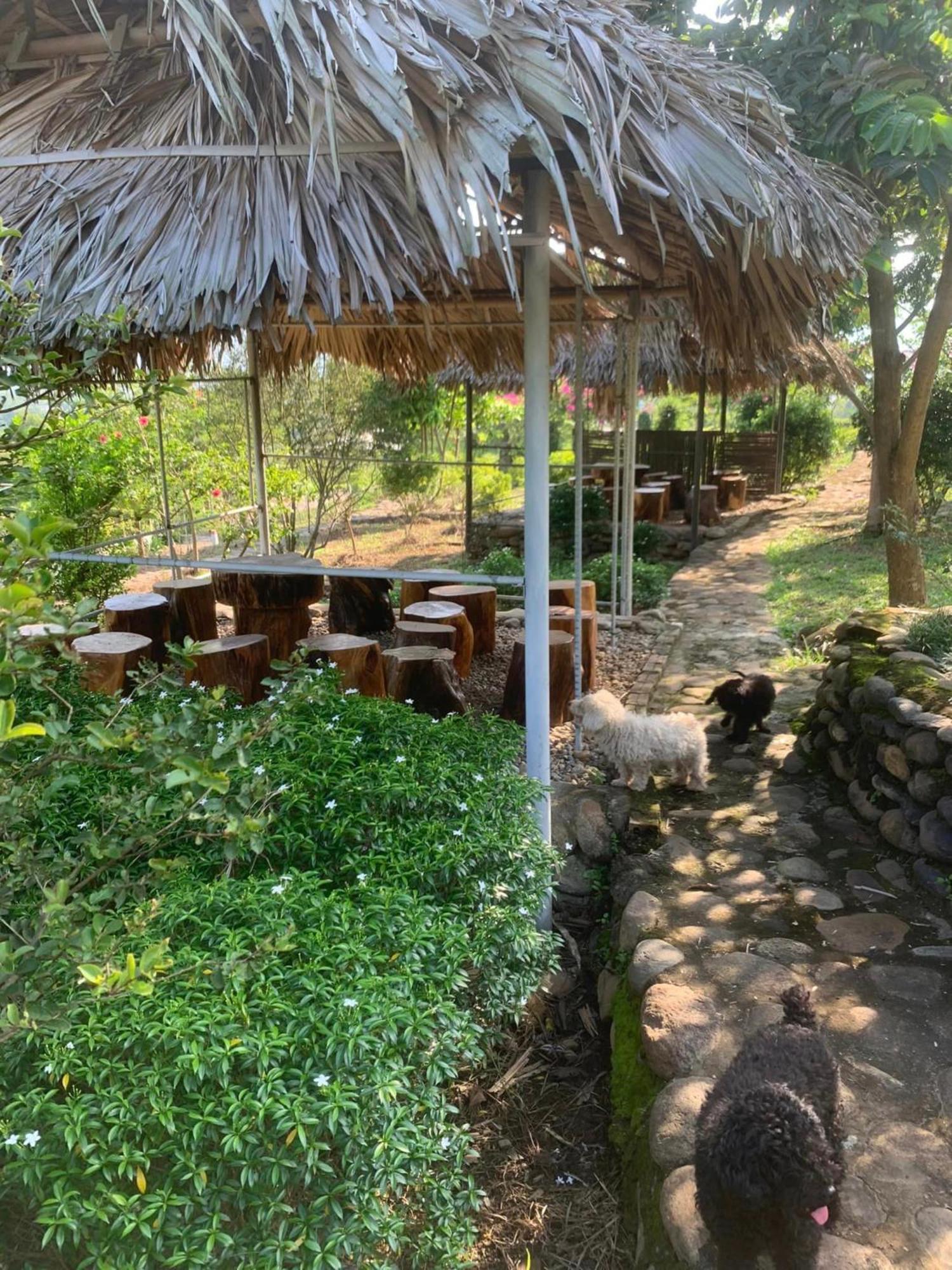 Homestay Nha Cua Mi - Mi'S House Yen Bai Kültér fotó