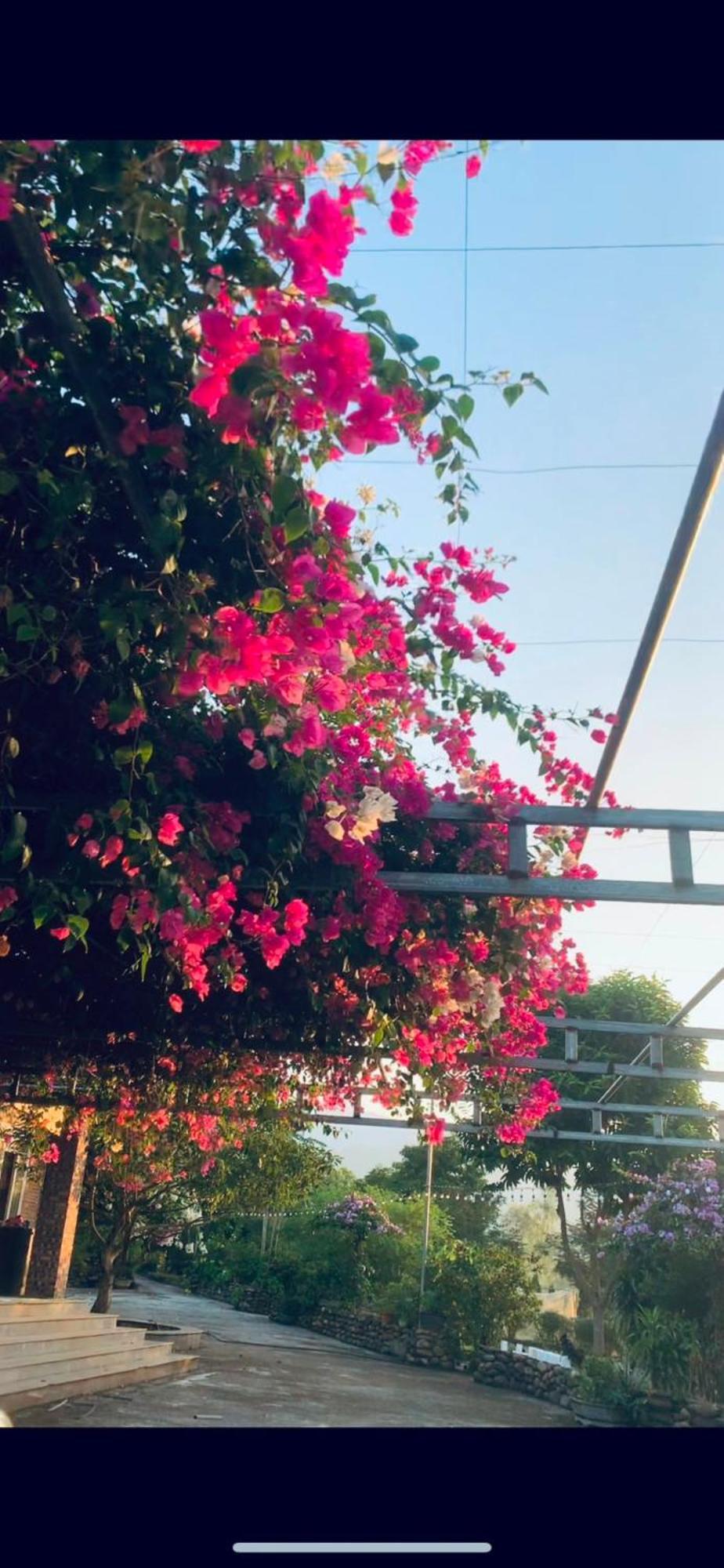 Homestay Nha Cua Mi - Mi'S House Yen Bai Kültér fotó